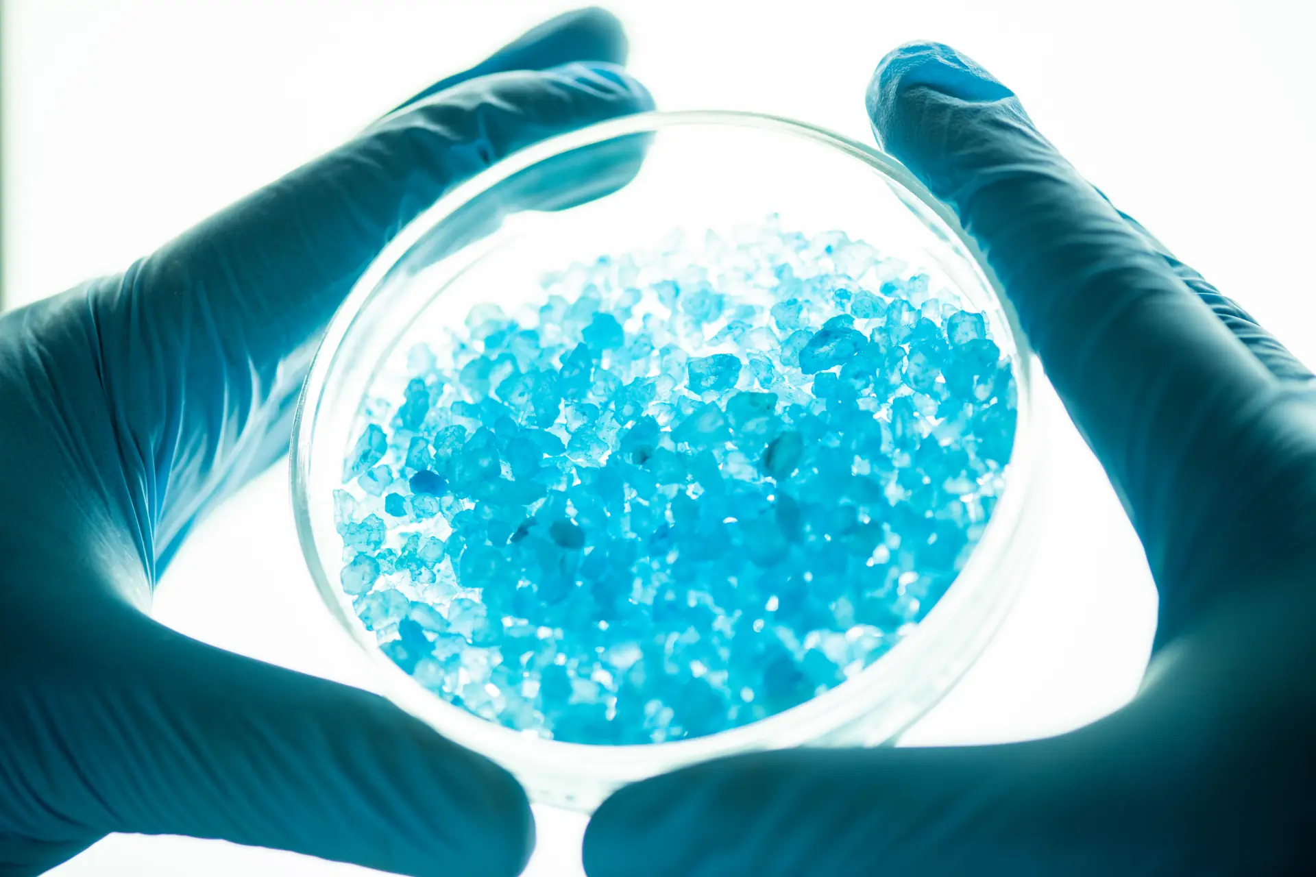 Global trade and shipping